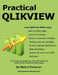 Practical QlikView by Mark O'Donovan