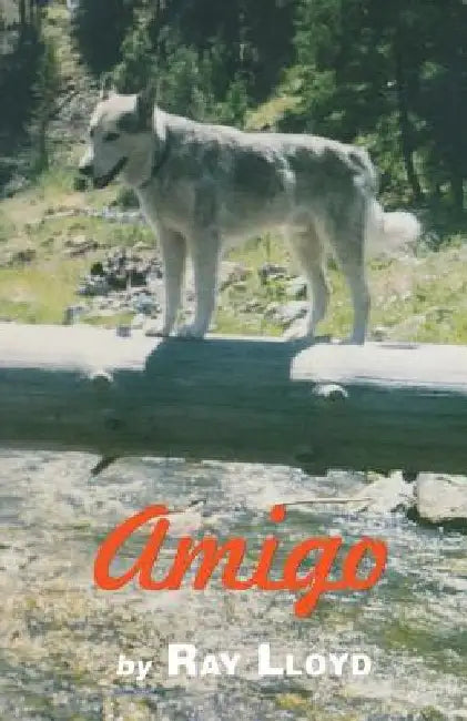 Amigo by Ray Lloyd