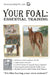 Your Foal: Essential Training by Keith Hosman