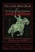 Little Black Book of Economic Development, 2nd Edition: The Clandestine Art and Practical Science of Building Local Economies by Don Allen Holbrook