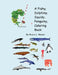 A Fishy, Dolphiny, Squidy, Penguiny, Coloring Book by Bryce L. Meyer