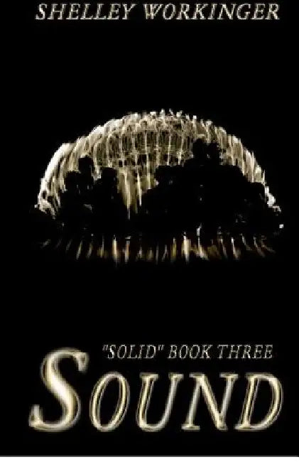 Sound: Solid, Book 3 by Shelley Workinger