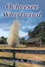 Ocheesee Whirlwind by Daniel R. Alford