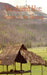 Weathered Hut: Secrets of the Hmong by X. G. Andrew