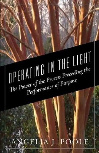 Operating in the Light: The Power of the Process Preceding the Performance of Purpose by Angelia J. Poole