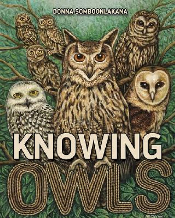Knowing Owls by Donna Somboonlakana