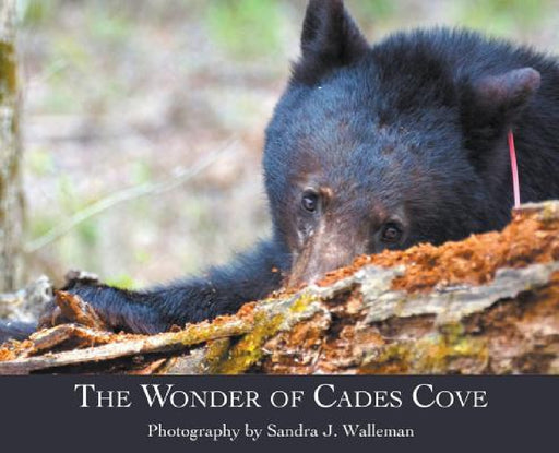 The Wonder of Cades Cove by Sandra J. Walleman