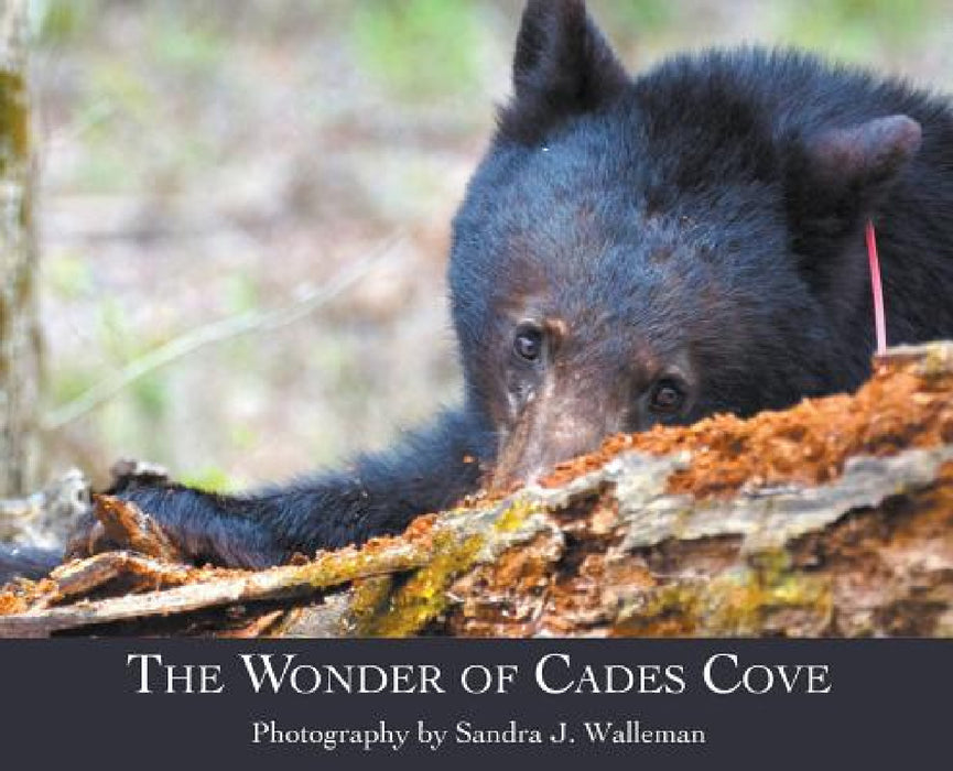 The Wonder of Cades Cove by Sandra J. Walleman