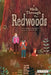 A Walk Through the Redwoods