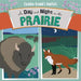 A Day and Night on the Prairie by Caroline Arnold, Caroline Arnold