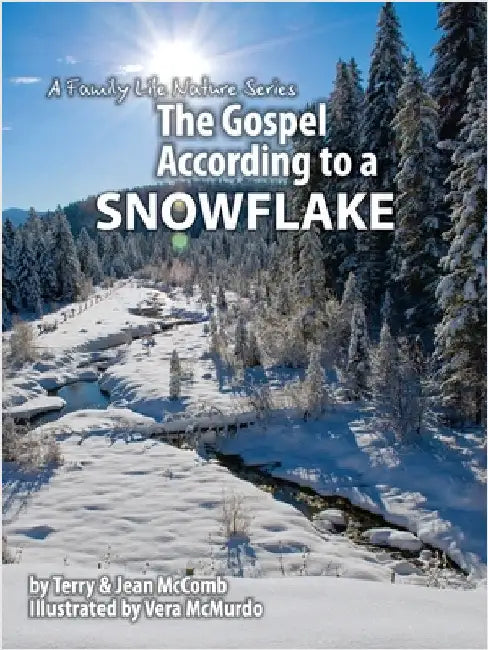 The Gospel According to a Snowflake by McComb, Terry