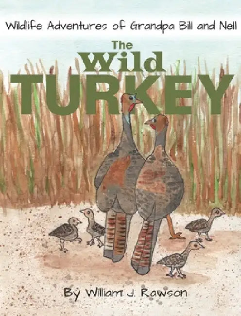 The Wild Turkey by William J. Rawson