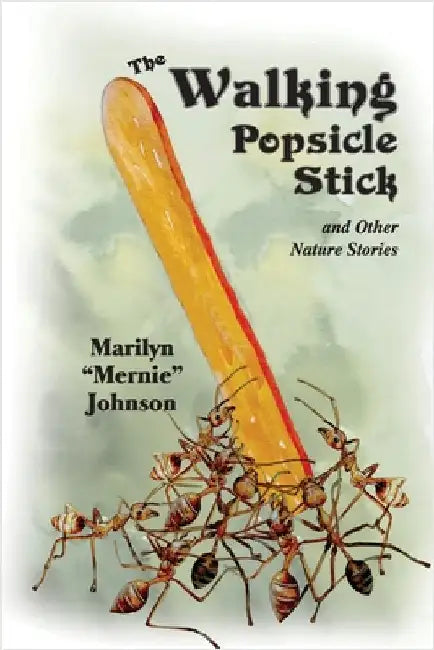 The Walking Popsicle Stick: and Other Nature Stories by Johnson, Marilyn