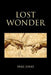 Lost Wonder: Power from the Writings of Luke by Mike Jones