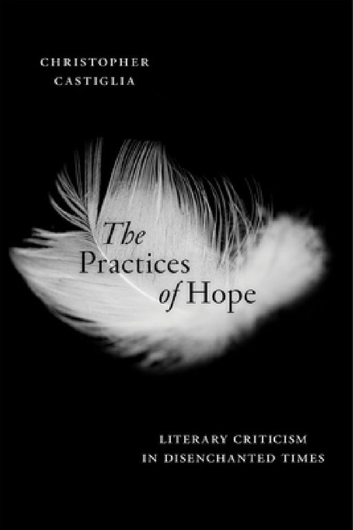 The Practices of Hope: Literary Criticism in Disenchanted Times by Christopher Castiglia