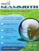 Math Mammoth Grade 2-A Worktext by Maria Miller
