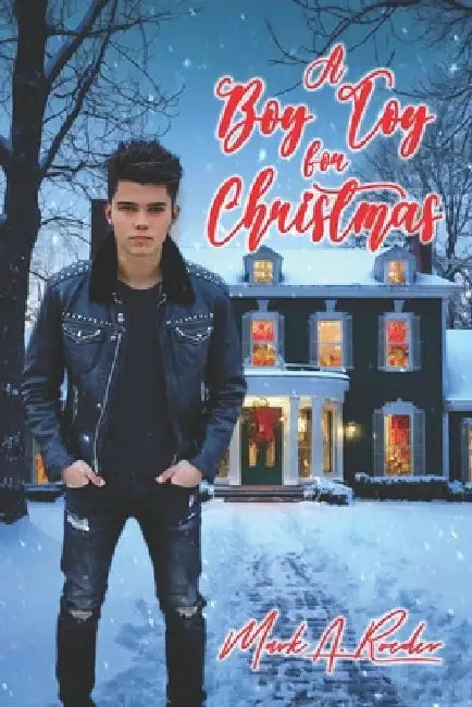 A Boy Toy for Christmas by Mark a. Roeder