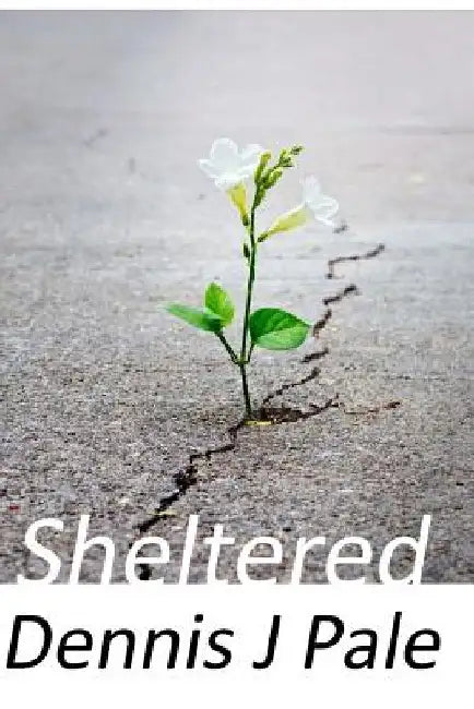Sheltered by Dennis J. Pale