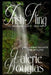 Irish Fling by Valerie Douglas