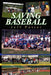 Saving Baseball by Jeff Potter
