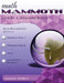 Math Mammoth Grade 1 Answer Keys by Maria Miller