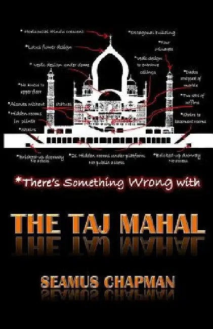 There's Something Wrong with the Taj Mahal by Seamus Chapman