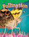 Pollination (Grade 2) by Dona Rice