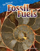 The Story of Fossil Fuels (Grade 4) by William Rice
