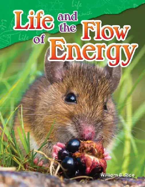 Life and the Flow of Energy (Grade 5) by William Rice