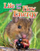 Life and the Flow of Energy (Grade 5) by William Rice
