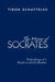 The Mirror of Socrates: Twelve Essays of a Reader on World Literature by Tibor Schatteles