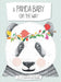 A Panda Baby on the Way by Katrina C. Chin Loy