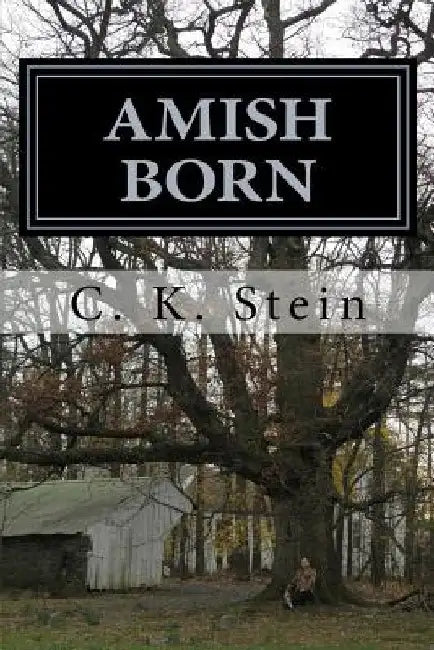 Amish Born by Ann Woolsey