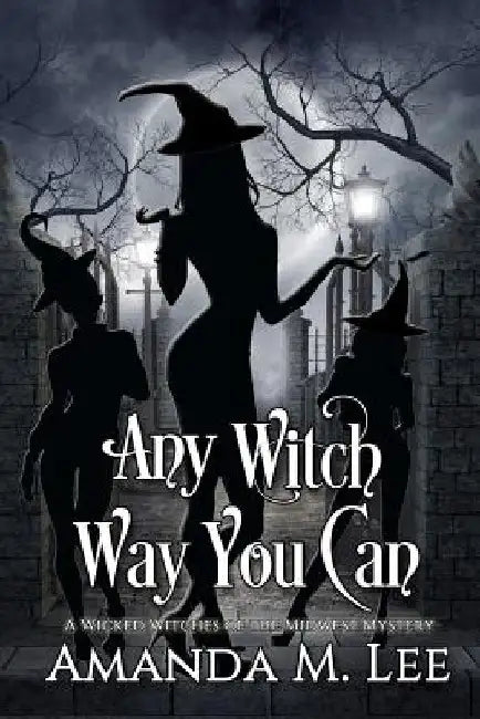 Any Witch Way You Can by Amanda M. Lee