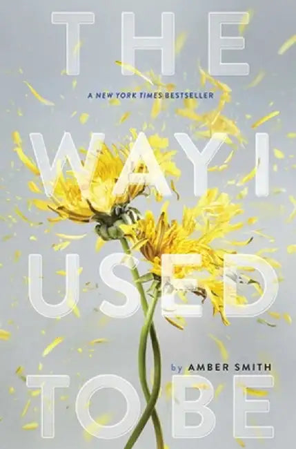 The Way I Used to Be by Amber Smith