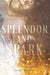 Splendor and Spark by Mary Taranta