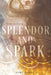 Splendor and Spark by Mary Taranta