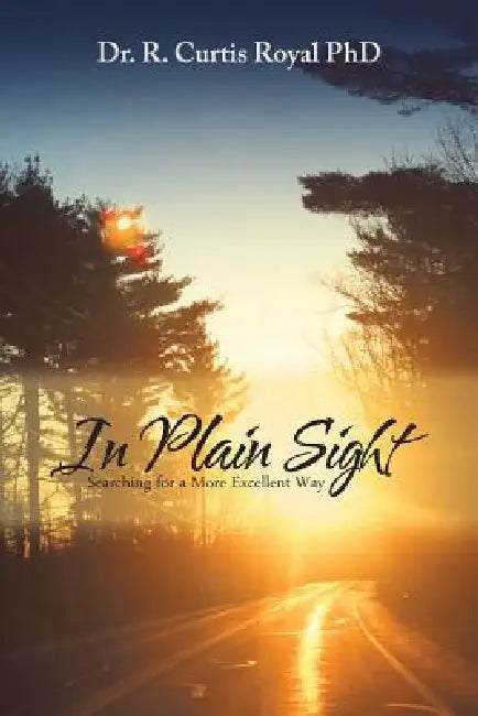 In Plain Sight: Searching for a More Excellent Way by R. Curtis Royal