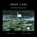Swan Lake: An Irish Ballet by Gunter Rau, Edna Aucamp