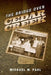 The Bridge Over Cedar Creek by Michael W. Paul