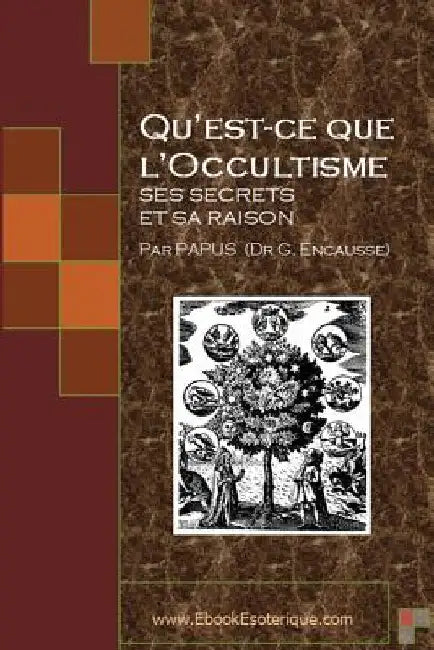 Qu'est-ce que l'Occultisme: Ses secrets et sa raison by Papus