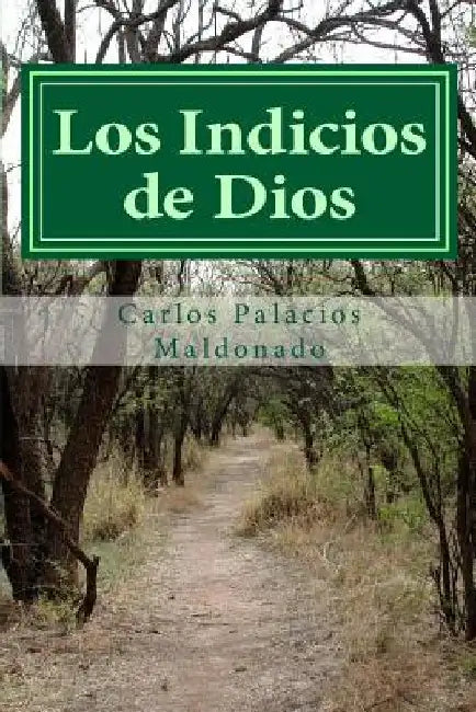 Los Indicios de Dios by Palacios Maldonado, Carlos