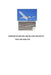 Composites for Civil and Military Aircraft's by Yosif Golfman