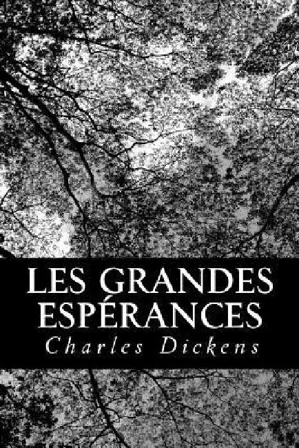 Les grandes espérances by Bernard-Derosne, Charles
