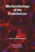 Mechanobiology of the Endothelium by Helim Aranda-Espinoza