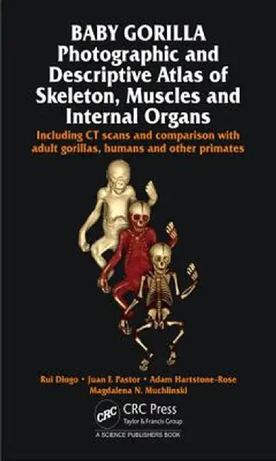 Baby Gorilla: Photographic and Descriptive Atlas of Skeleton, Muscles and Internal Organs by Rui Diogo