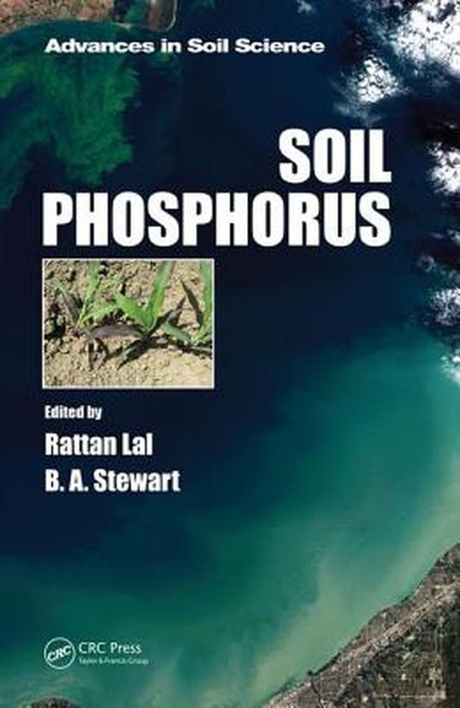Soil Phosphorus by B. A. Stewart