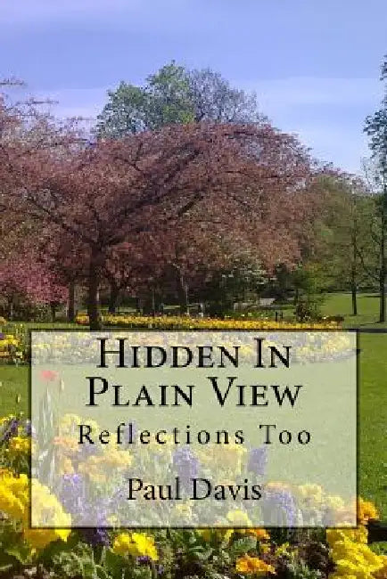 Hidden In Plain View: Reflections Too by Paul Davis