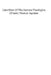 Catechism of the Summa Theologica of Saint Thomas Aquinas: For the Use of the Faithful by Thomas Pegues Op