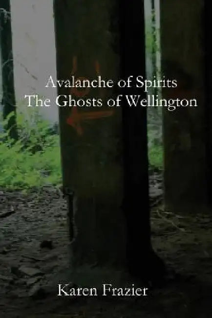 Avalanche of Spirits: The Ghosts of Wellington by Karen Frazier